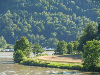 Avustralya 'daki Tuna Nehri.