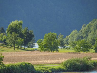 Avustralya 'daki Tuna Nehri.