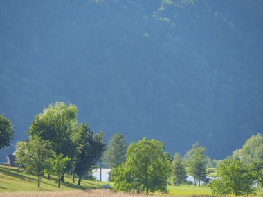 Avustralya 'daki Tuna Nehri.