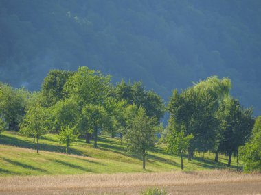 Avustralya 'daki Tuna Nehri.