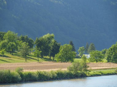 Avustralya 'daki Tuna Nehri.