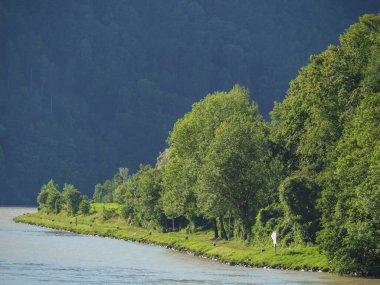 Avustralya 'daki Tuna Nehri' nde.