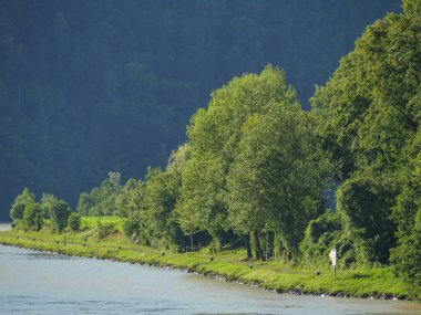 Avustralya 'daki Tuna Nehri' nde.