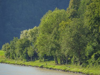 Avustralya 'daki Tuna Nehri' nde.