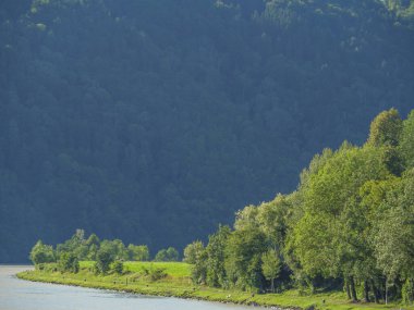 Avustralya 'daki Tuna Nehri' nde.