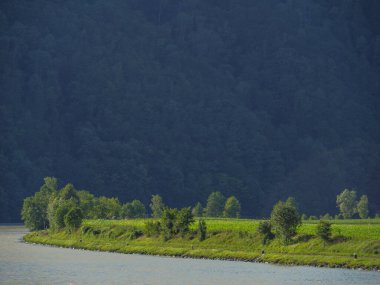 Avustralya 'daki Tuna Nehri' nde.