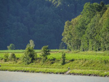 Avustralya 'daki Tuna Nehri' nde.