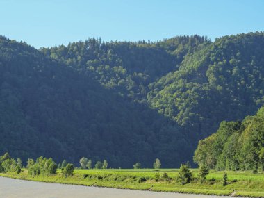 Avustralya 'daki Tuna Nehri' nde.