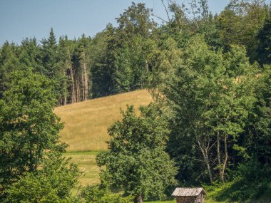 Avustralya 'daki Tuna Nehri' nde.