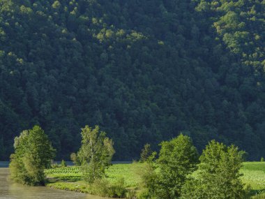 Avustralya 'daki Tuna Nehri' nde.