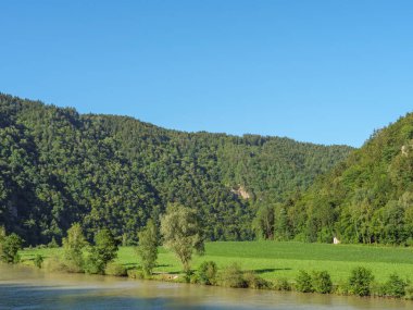 Avustralya 'daki Tuna Nehri' nde.