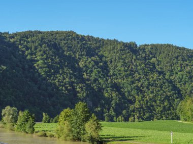 Avustralya 'daki Tuna Nehri' nde.