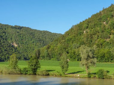 Avustralya 'daki Tuna Nehri' nde.