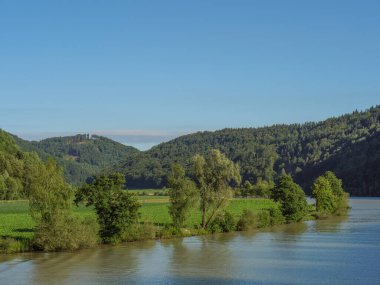 Avustralya 'daki Tuna Nehri' nde.