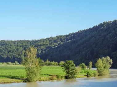 Avustralya 'daki Tuna Nehri' nde.