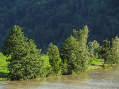 Avustralya 'daki Tuna Nehri' nde.