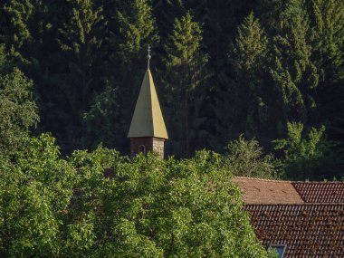 Avustralya 'daki Tuna Nehri' nde.