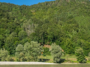 Avustralya 'daki Tuna Nehri' nde.