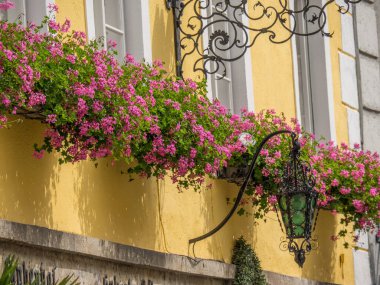 Avustralya 'daki Tuna Nehri' nde.