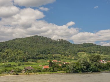 Avustralya 'daki Tuna Nehri' nde.