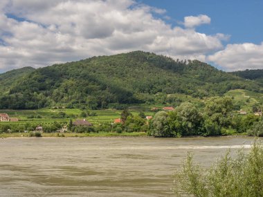 Avustralya 'daki Tuna Nehri' nde.