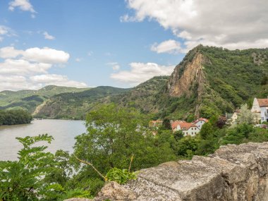 Avustralya 'daki Tuna Nehri' nde.