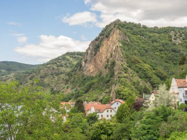 Avustralya 'daki Tuna Nehri' nde.