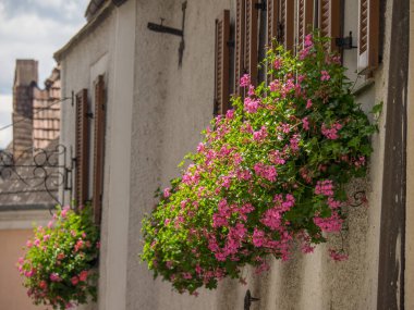 Avustralya 'daki Tuna Nehri' nde.