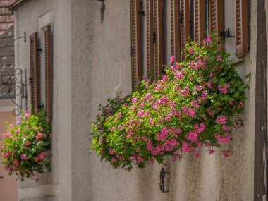 Avustralya 'daki Tuna Nehri' nde.