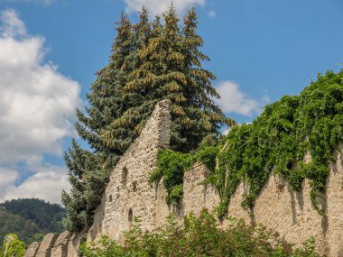 Avustralya 'daki Tuna Nehri' nde.