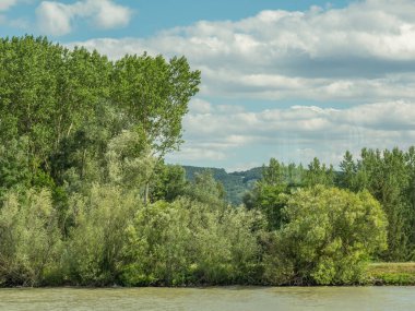 Avustralya 'daki Tuna Nehri' nde.