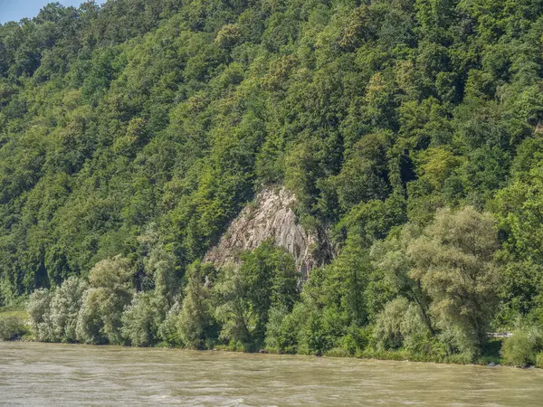 Avustralya 'daki Tuna Nehri.