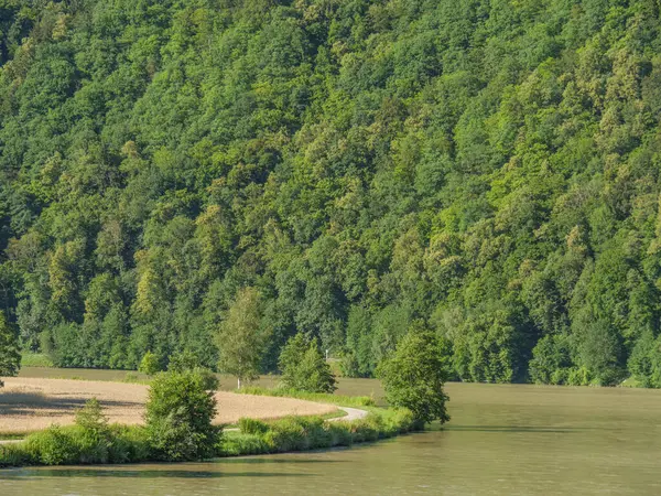 Avustralya 'daki Tuna Nehri.