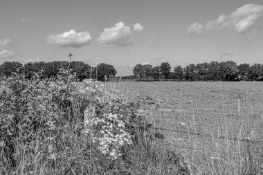Hollanda 'daki küçük Borculo şehri.