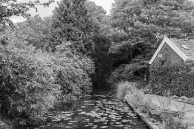 Hollanda 'daki küçük Borculo şehri.