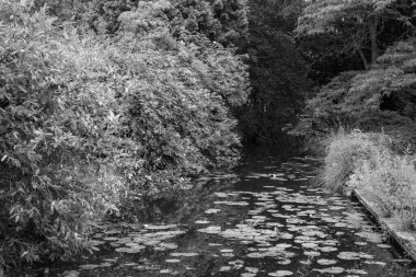 Hollanda 'daki küçük Borculo şehri.