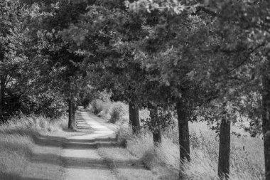 Hollanda 'daki küçük Borculo şehri.