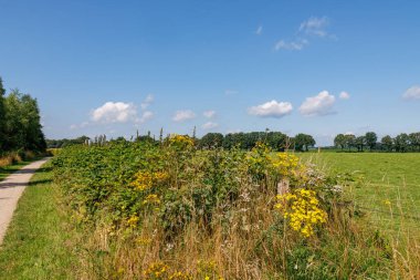 Hollanda 'daki küçük Borculo şehri.