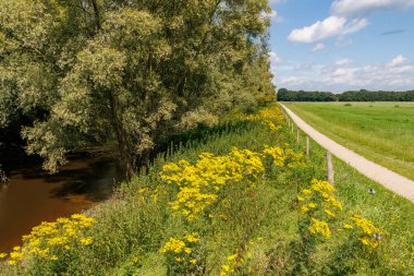 Hollanda 'daki küçük Borculo şehri.
