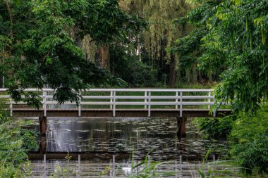 Hollanda 'daki küçük Borculo şehri.