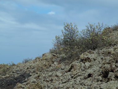 İspanyol adası Lanzarote