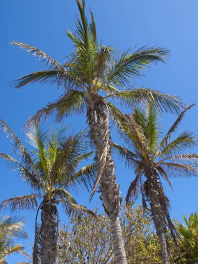 İspanyol adası Lanzarote