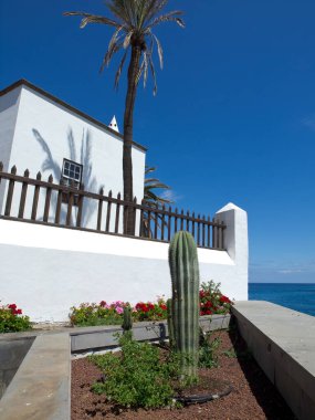 İspanya 'daki Teneriffe Adası