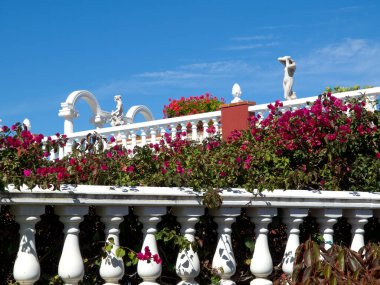 İspanya 'daki Teneriffe Adası