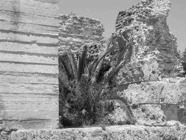 Tunus 'un Tunus kenti