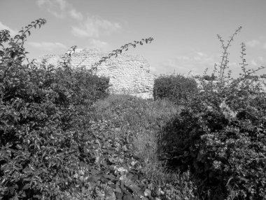 Tunus 'un Tunus kenti