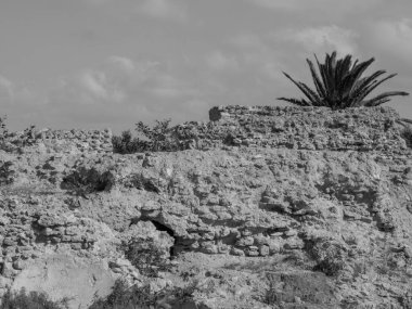 Tunus 'un Tunus kenti