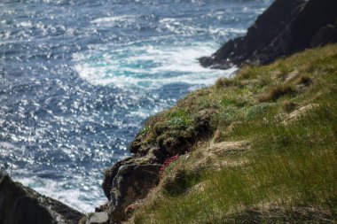 lerwick şehri ve shetland adaları