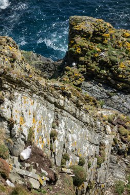 lerwick şehri ve shetland adaları