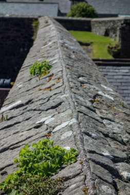 lerwick şehri ve shetland adaları